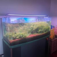 Acquario per intenditori