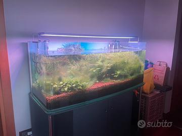 Acquario per intenditori