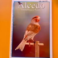 Rivista Alcedo n.82 (2015) - Ornitologia e Natura