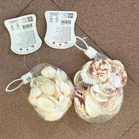 Conchiglie per Decorazione