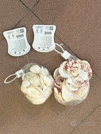 Conchiglie per Decorazione