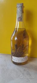 grappa di romano levi