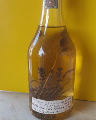 grappa di romano levi
