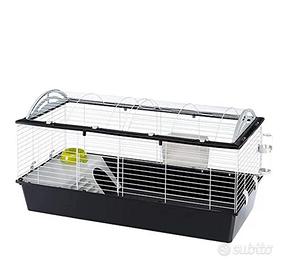 gabbietta coniglietto nano