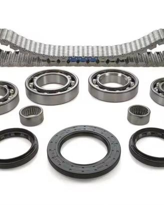 Riparazione Differenziale MB W164 W166 HV-091....