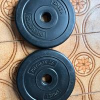 2 dischi in plastica 1,25kg