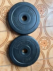 2 dischi in plastica 1,25kg