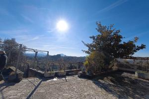 Villetta Unifamiliare con Terreno e Ulivi