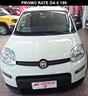 fiat-panda-1-0-firefly-s-s-hybrid