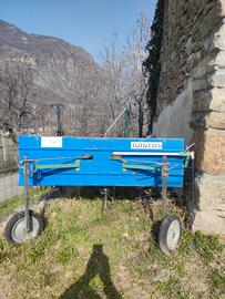 ranghinatore molon
