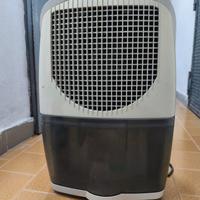 deumidificatore De longhi dec 10