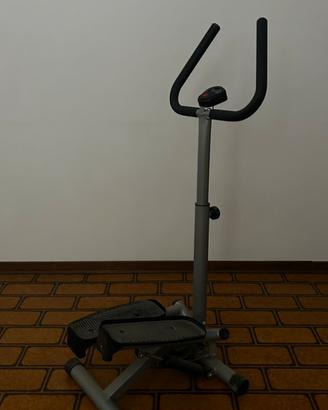 Palestra step