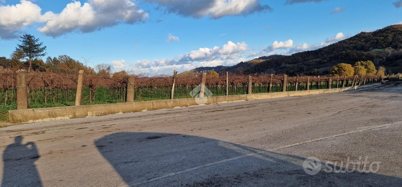 TER. AGRICOLO A FOGLIANISE - Vista 5