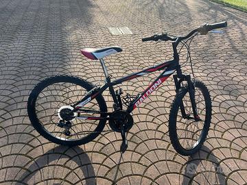 Bicicletta 24 pollici Baldoni