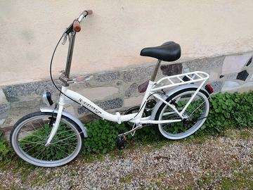 bici pieghevole 