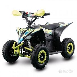 ATV QUAD - FURIOUS BIG 1000W R6 - ELETTRICO