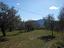 Immagine 11