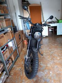 Benelli Leoncino trail 500