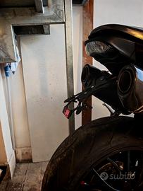 Portatarga speed triple evotech