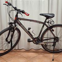 Bicicletta/ City bike