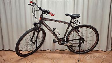 Bicicletta/ City bike