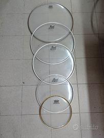 Pelli REMO Ambassador/PEARL