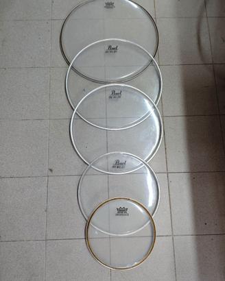 Pelli REMO Ambassador/PEARL
