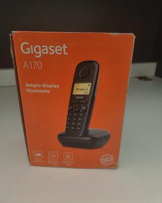Gigaset A170