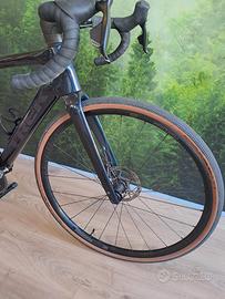 Trek Domane