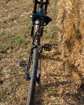 cannondale v1000 