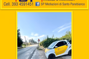 Terreno Pianeggiante su strada