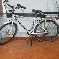 bici elettrica 