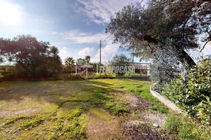 Indipendenza e natura: villa rustica con uliveto a