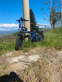 Bicicletta elettrica