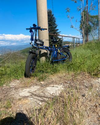 Bicicletta elettrica