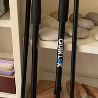 Asta per microfono coppia, proel e Quiklok