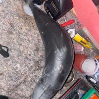 scarico pancia moto hm 125 rotax omologata