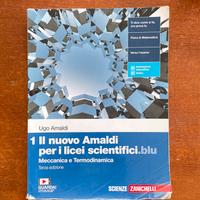 Il nuovo Amaldi per i licei scientifici.blu vol. 1