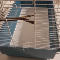 gabbia per piccoli uccelli