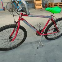 Mtb rossa