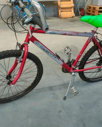 Mtb rossa