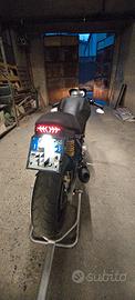 ducati monster