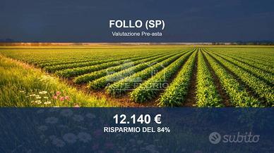 Immobile in asta di 182010 m² a Follo