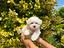 Immagine 5