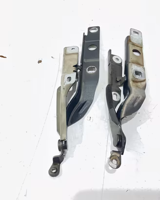 CERNIERE COFANO ANTERIORE DX E SX CITROEN C4 Cactu
