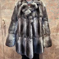 pelliccia cincilla’