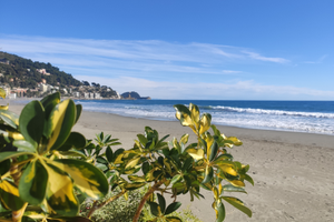 Incantevole Alassio bilo 50 m.mare garage