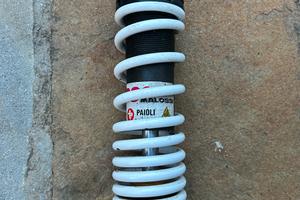 Ammortizzatore posteriore rs24 malossi minarelli