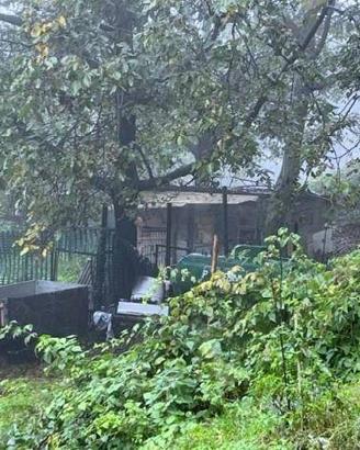 Immobile in asta di 51750 m² a Pian Camuno