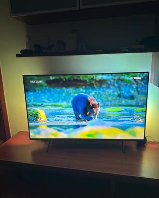Philips Ambilight 50” 4K UHD Smart TV 50PUS8118/12